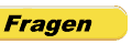 Fragebogen zum Euro